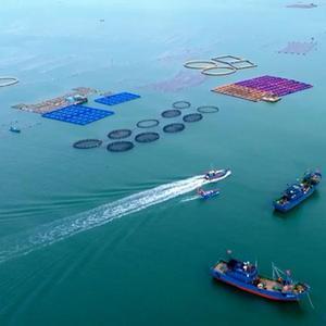 我国首艘氢能源船舶“三峡氢舟1”号首航
