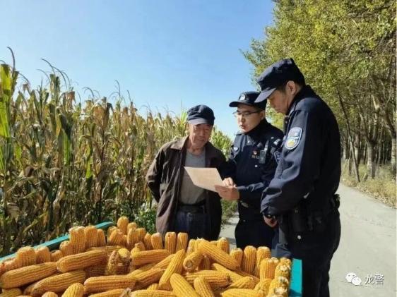 全力以赴保障粮食丰收——各地加快推进秋季农业生产扫描