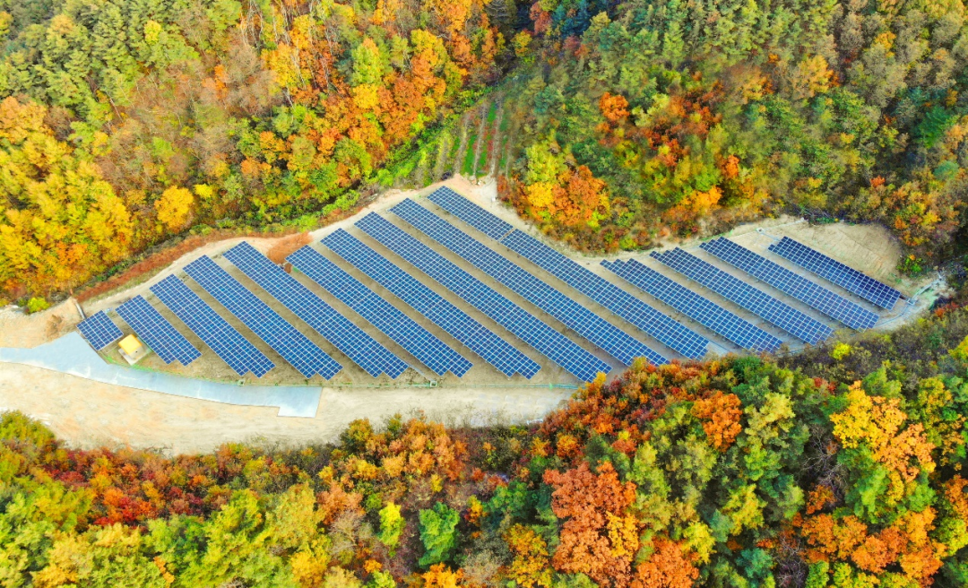 隆基绿能李振国：“绿电”+“绿氢”助力亚太地区加速能源转型