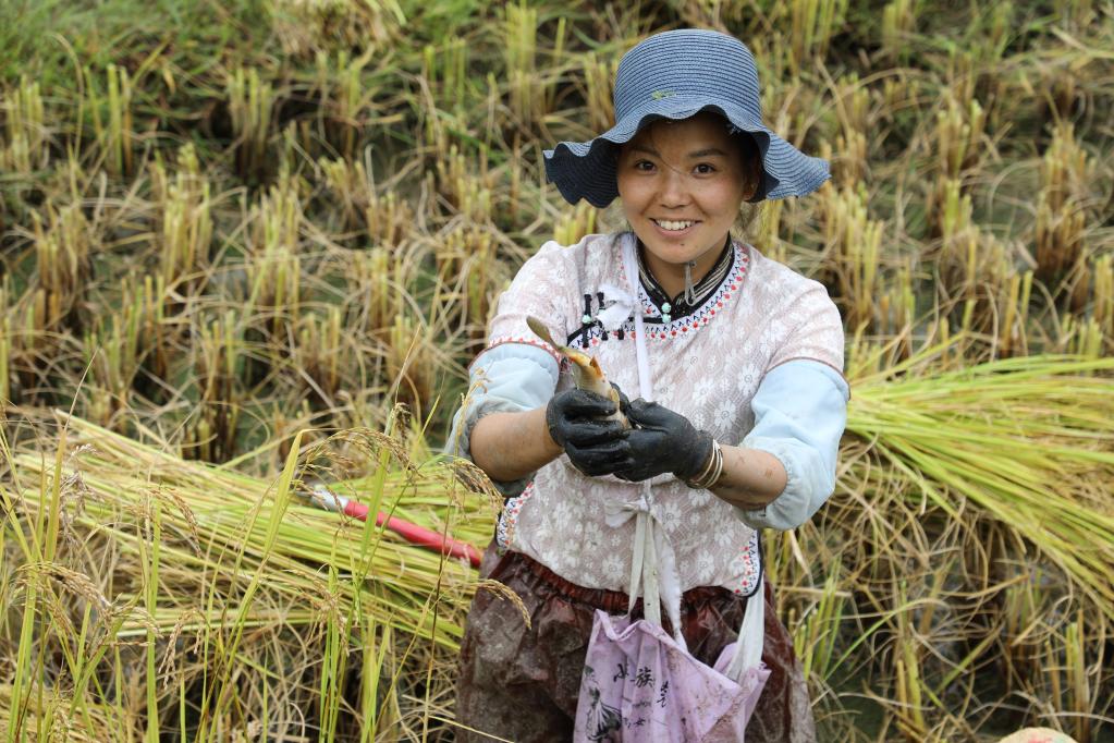 新华全媒+丨国家发展改革委：增发国债资金全部按项目管理