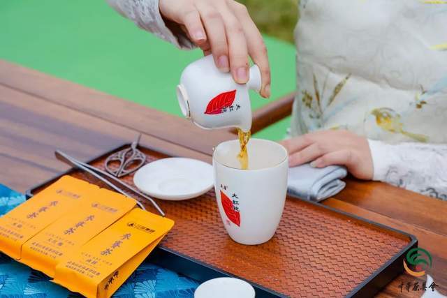 抓住时代机遇！乌龙茶大团圆献礼两岸融合发展战略