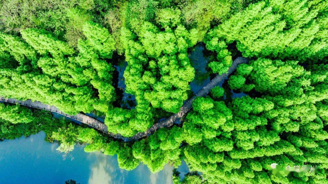 绿染中国 | 江河竞流