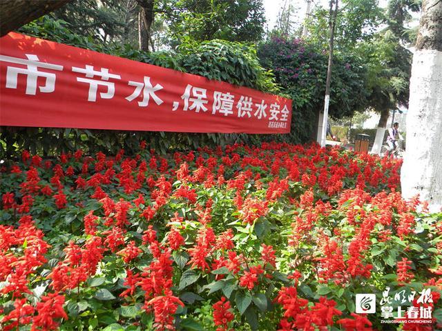 我国用水效率和效益持续提升 2023年用水总量保持在6000亿立方米左右