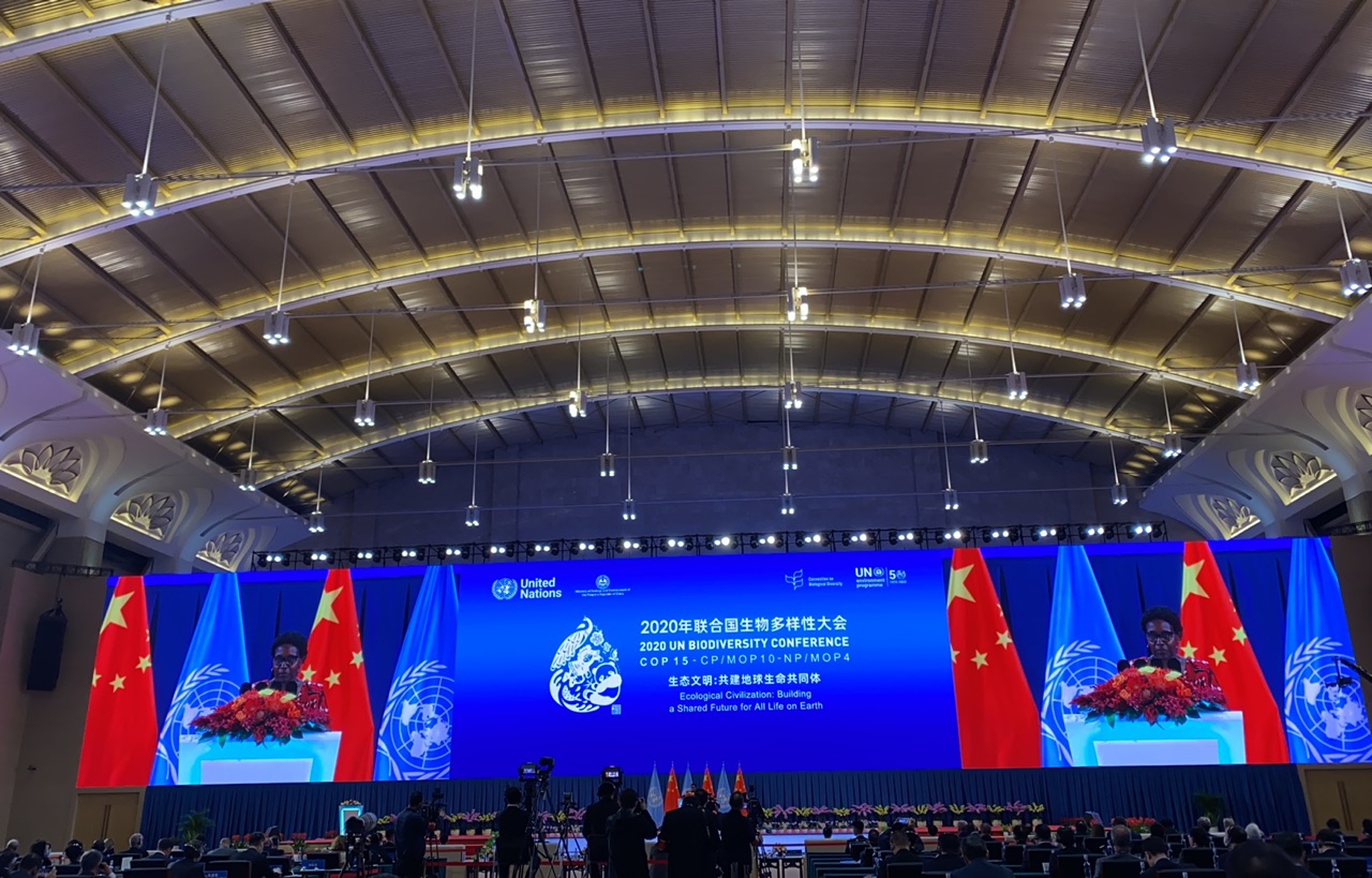 中国绿发会主办首个响应国家生物多样性保护战略行动计划座谈会在京召开
