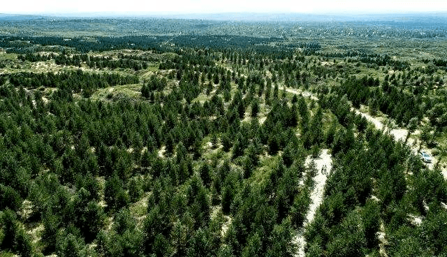 三北荒漠变为绿色电厂