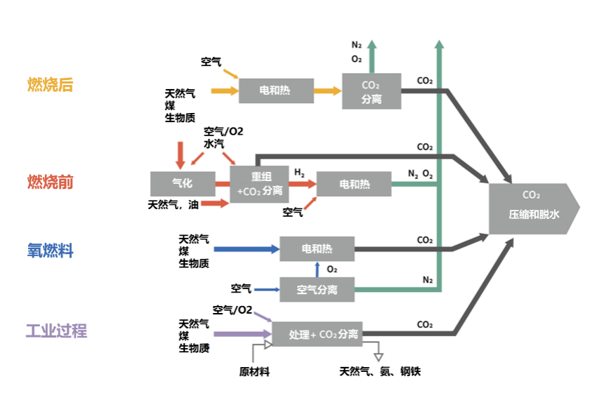 培育能源领域生物质制氢新模式