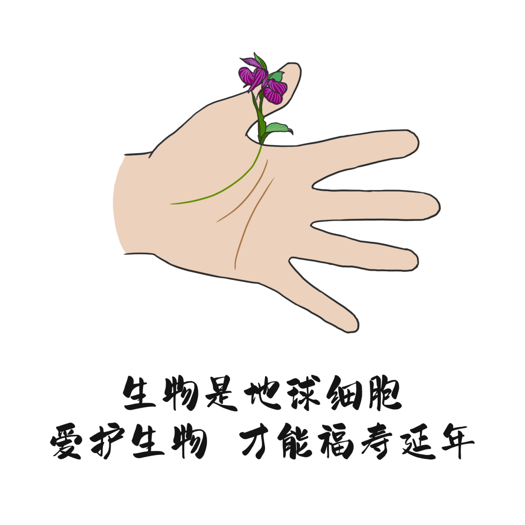 生生不息 万物并秀——中国石油创新开展生物多样性保护实践探访