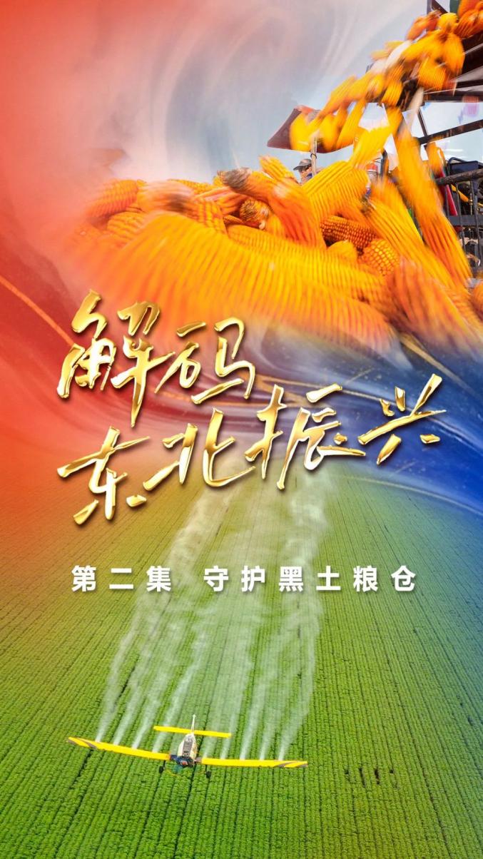 中国石化：牢记嘱托 勇当保障国家能源安全排头兵