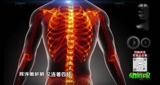 聚焦脊柱, 守护健康 2024年世界脊柱日系列活动启动会圆满结束