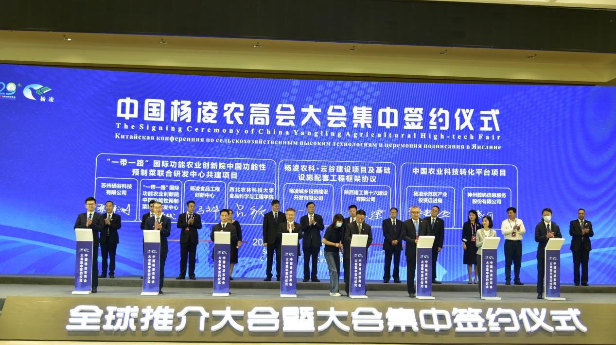 第三届“一带一路”能源部长会议在青岛顺利召开