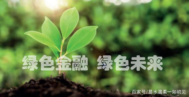 科技创新赋能绿色低碳技术发展 2024石油石化行业绿色低碳技术交流会在京召开
