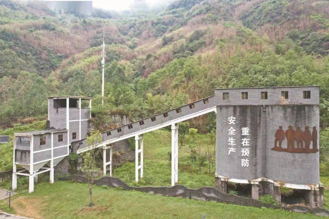 隆基李振国参加APEC工商领导人峰会：光伏技术助推全球能源转型及矿业绿色发展