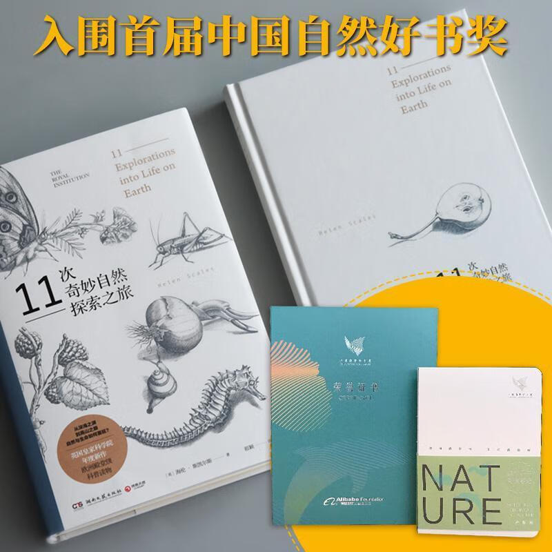 碳索之旅|天山脚下的“零碳样本”