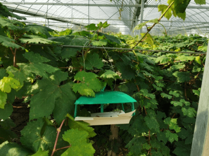 雅迪：深耕ESG实践 引领绿色出行可持续发展之路