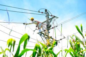 国家电网用电负荷连续三天创历史新高