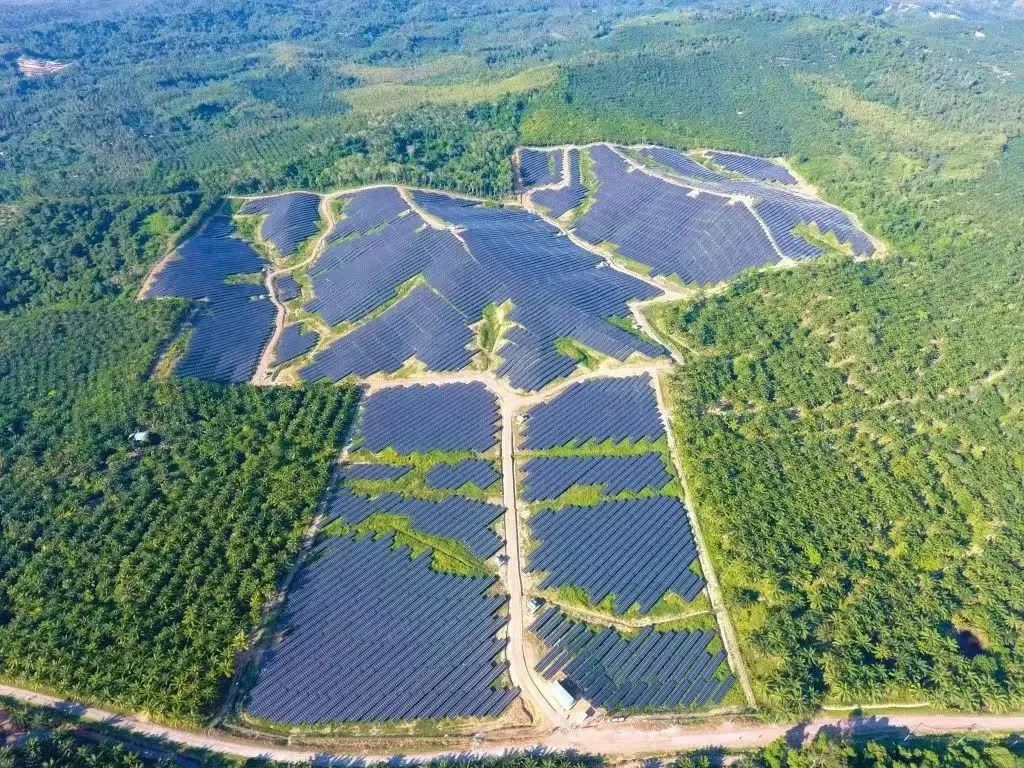 减污降碳提升发展“含绿量”