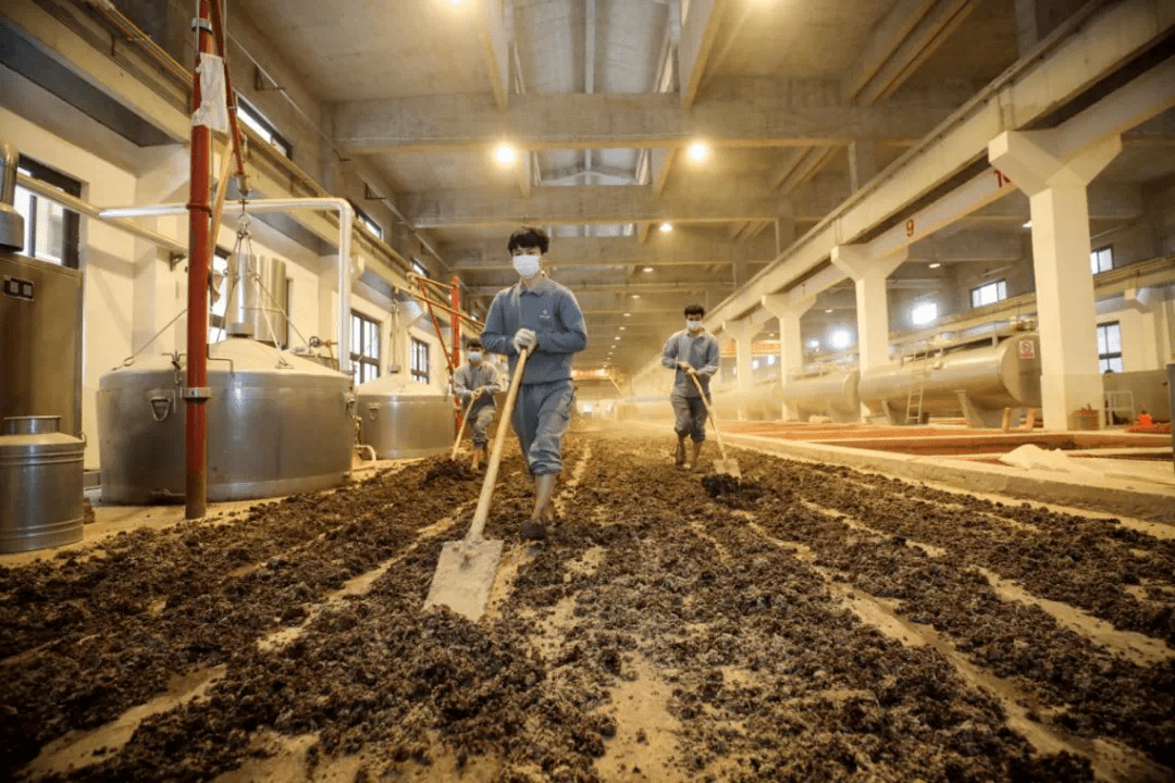 守正创新 加“数”前行——习酒集团2025年秋收论坛圆满举行