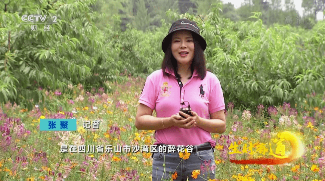 守正创新 加“数”前行——习酒集团2025年秋收论坛圆满举行